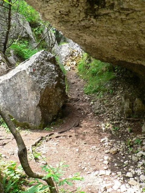 Castelloni San Marco - Labirinto