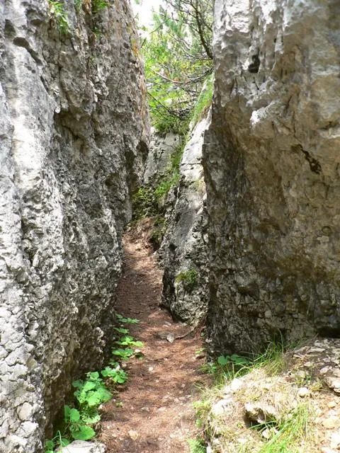 Castelloni San Marco - Labirinto