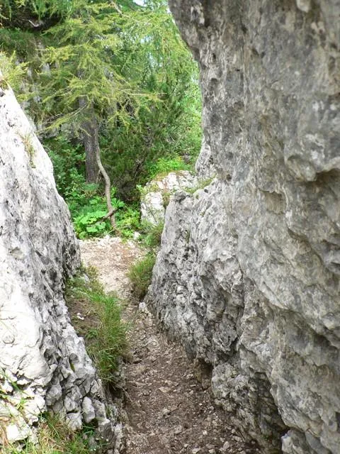 Castelloni San Marco - Labirinto