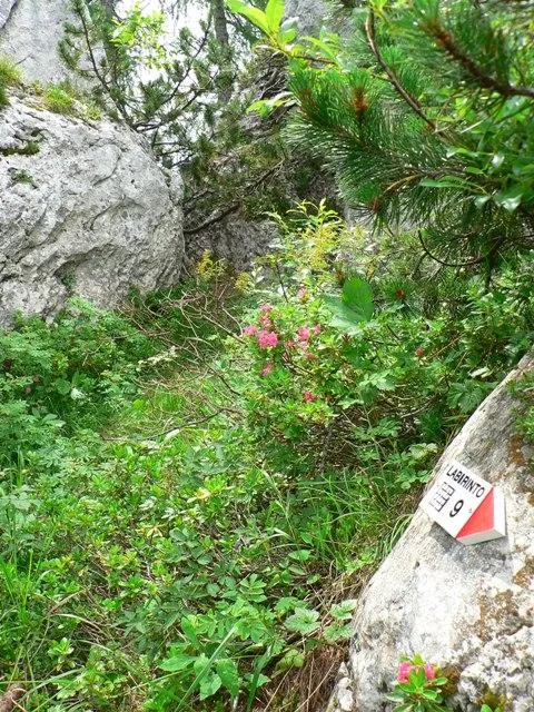 Castelloni San Marco - Labirinto