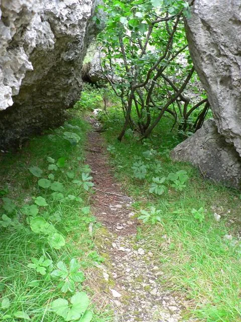 Castelloni San Marco - Labirinto