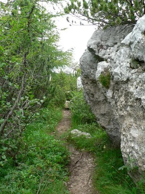 Castelloni San Marco - Labirinto