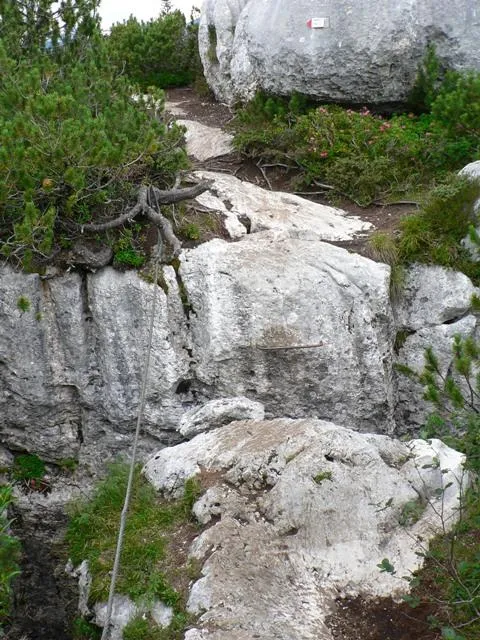 Castelloni San Marco - Labirinto