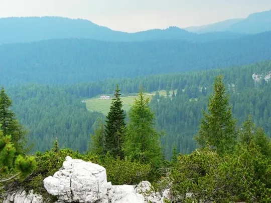 Castelloni di S.Marco - Malga Fossetta