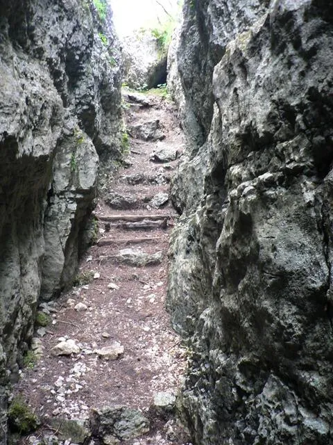 Castelloni San Marco - Labirinto
