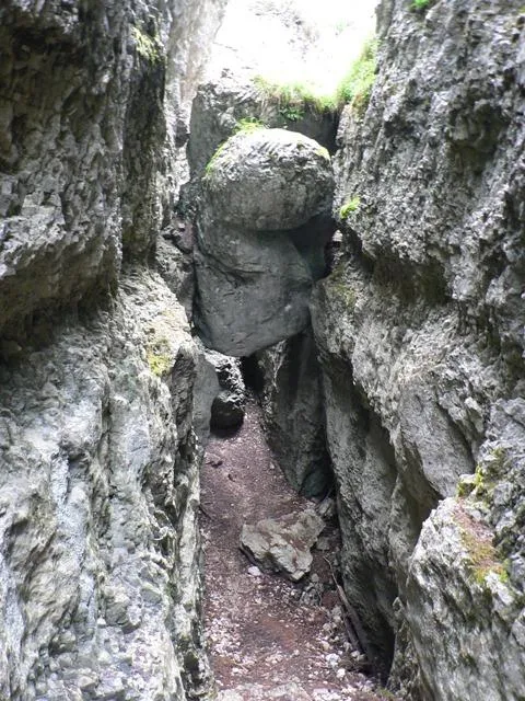 Castelloni San Marco - Labirinto