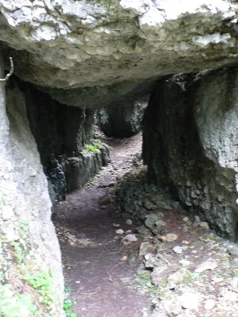 Castelloni San Marco - Labirinto