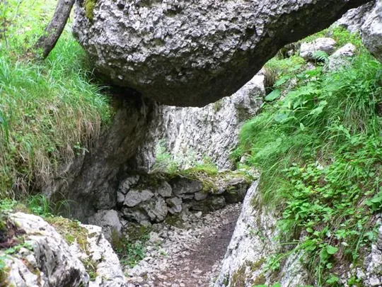 Castelloni San Marco - Labirinto