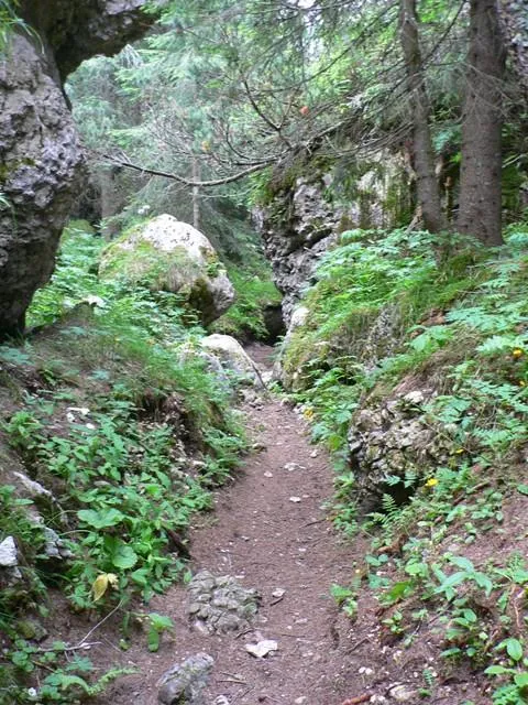 Castelloni San Marco - Labirinto