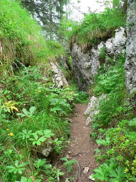 Castelloni San Marco - Labirinto