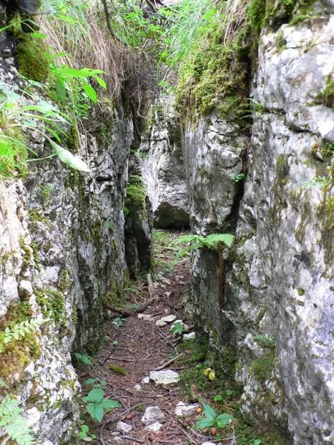 Castelloni San Marco - Labirinto