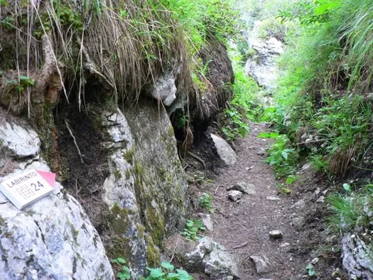 Castelloni San Marco - Labirinto