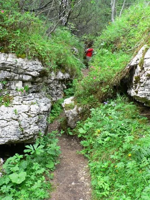 Castelloni San Marco - Labirinto