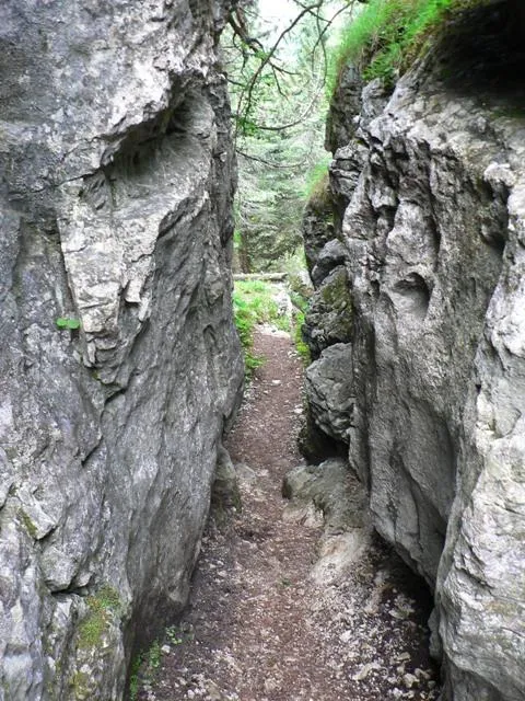 Castelloni San Marco - Labirinto