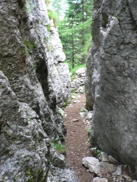 Castelloni San Marco - Labirinto