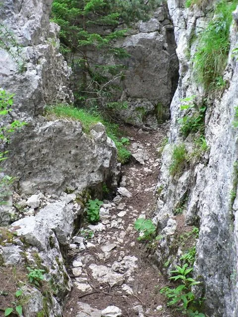 Castelloni San Marco - Labirinto