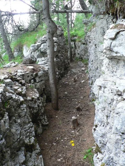 Castelloni San Marco - Labirinto