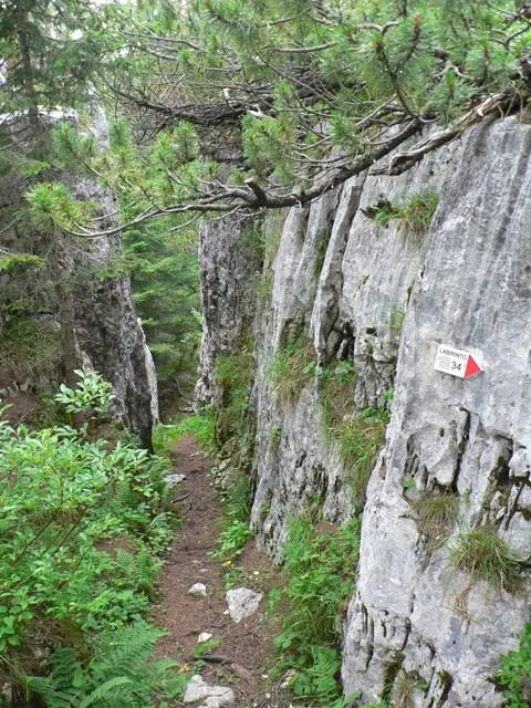 Castelloni San Marco - Labirinto