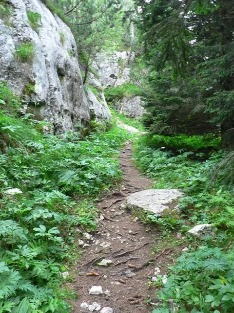 Castelloni San Marco - Labirinto