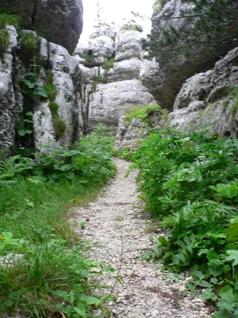 Castelloni San Marco - Labirinto