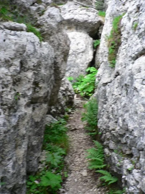 Castelloni San Marco - Labirinto