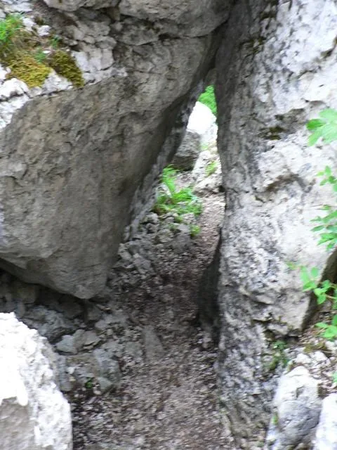 Castelloni San Marco - Labirinto