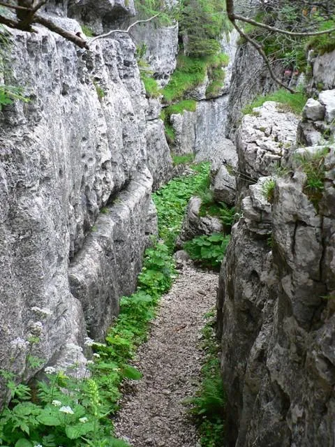 Castelloni San Marco - Labirinto