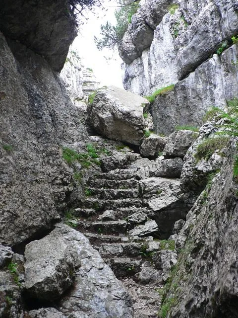 Castelloni San Marco - Labirinto