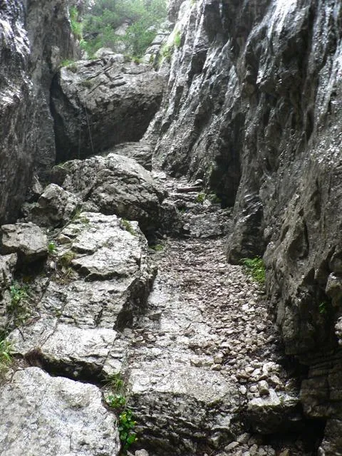 Castelloni San Marco - Labirinto