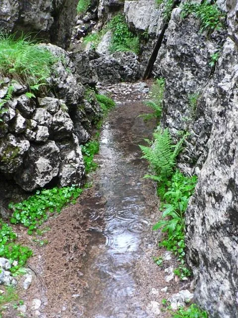 Castelloni San Marco - Labirinto