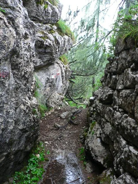 Castelloni San Marco - Labirinto