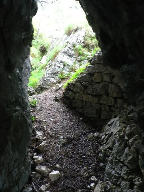 Castelloni San Marco - Labirinto