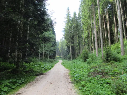 Strada verso l'Handley Cross