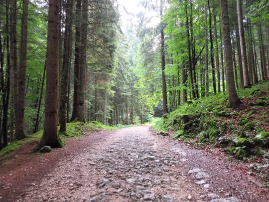 Dettaglio della strada