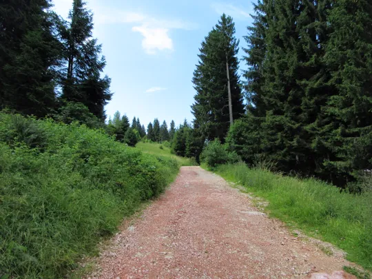 Strada verso la cava