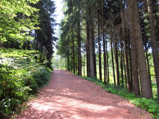 Strada verso la cava