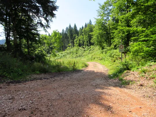 Dettaglio della strada dopo l'incrocio