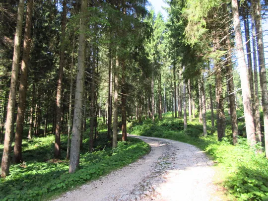 Dettaglio della strada