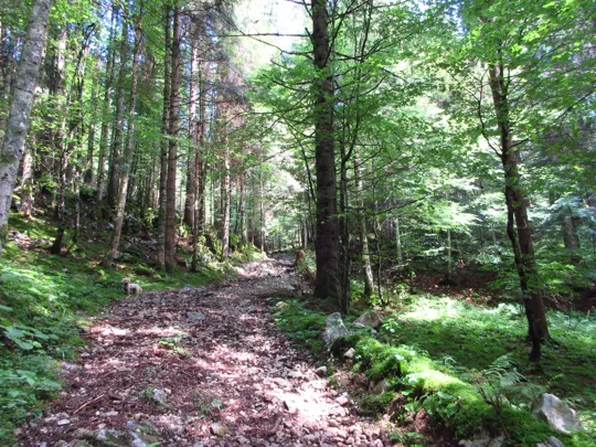 Dettaglio del sentiero