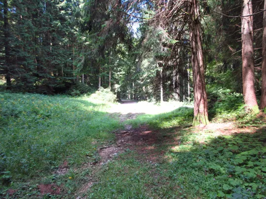 Innesto alla strada principale, proseguire a sinistra