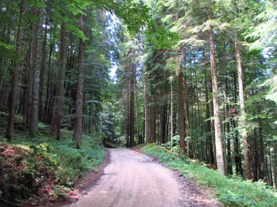 Verso l'Handley Cross