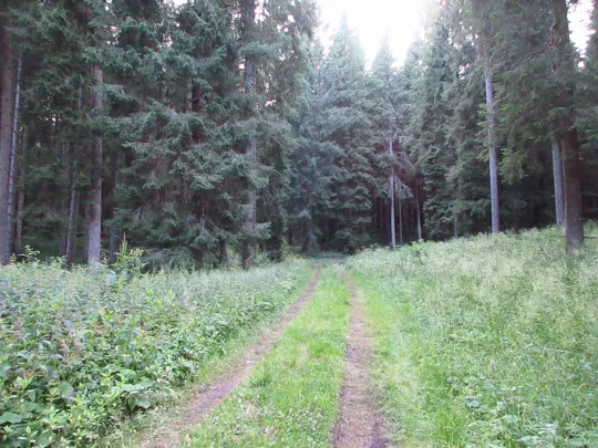 Dettaglio della strada dopo l'incrocio