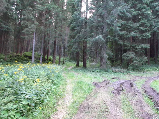 Proseguire a sinistra