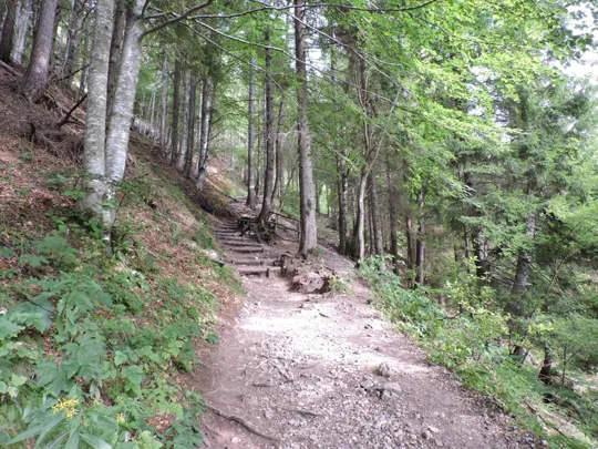 Cima Carega - dettagli del sentiero 189