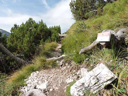 Cima Carega - dettagli del sentiero 108