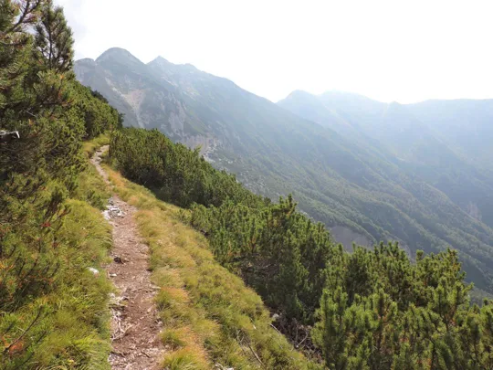 Cima Carega - dettagli del sentiero 108