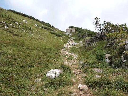 Cima Carega - dettagli del sentiero 108