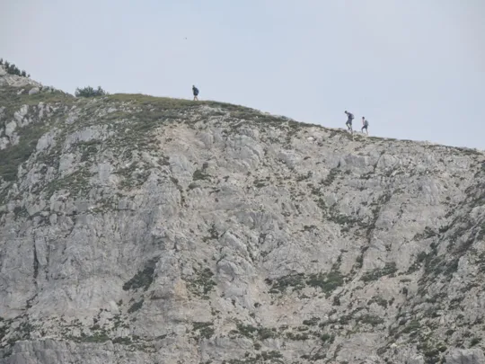 Cima Carega - dettagli del sentiero 108