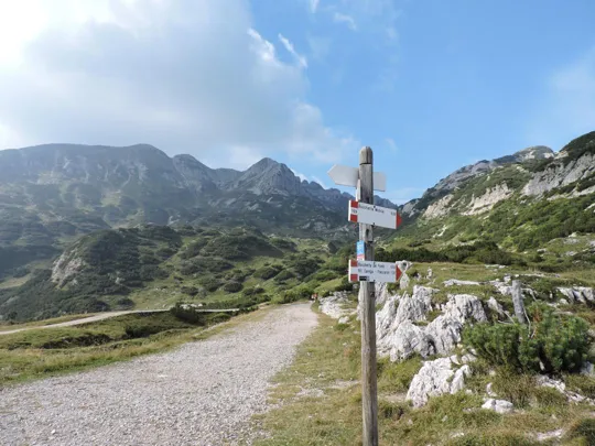 Cima Carega - dettaglio del segnavia 109