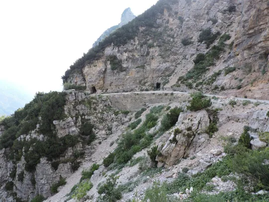 Cima Carega - dettaglio del segnavia 109